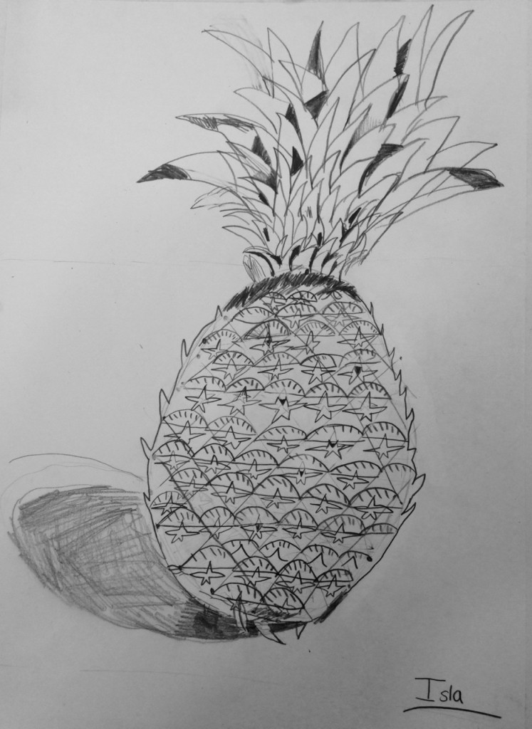 PENCIL_PINEAPPLE_07