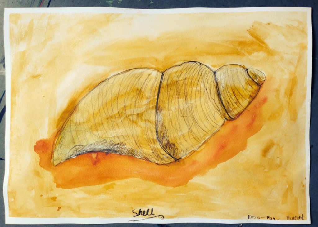 WATERCOLOUR_SHELL_02