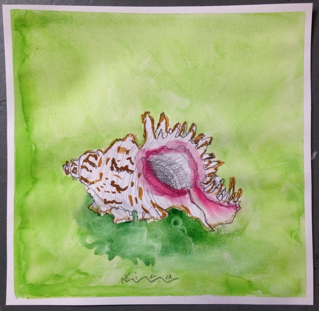 WATERCOLOUR_SHELL_04