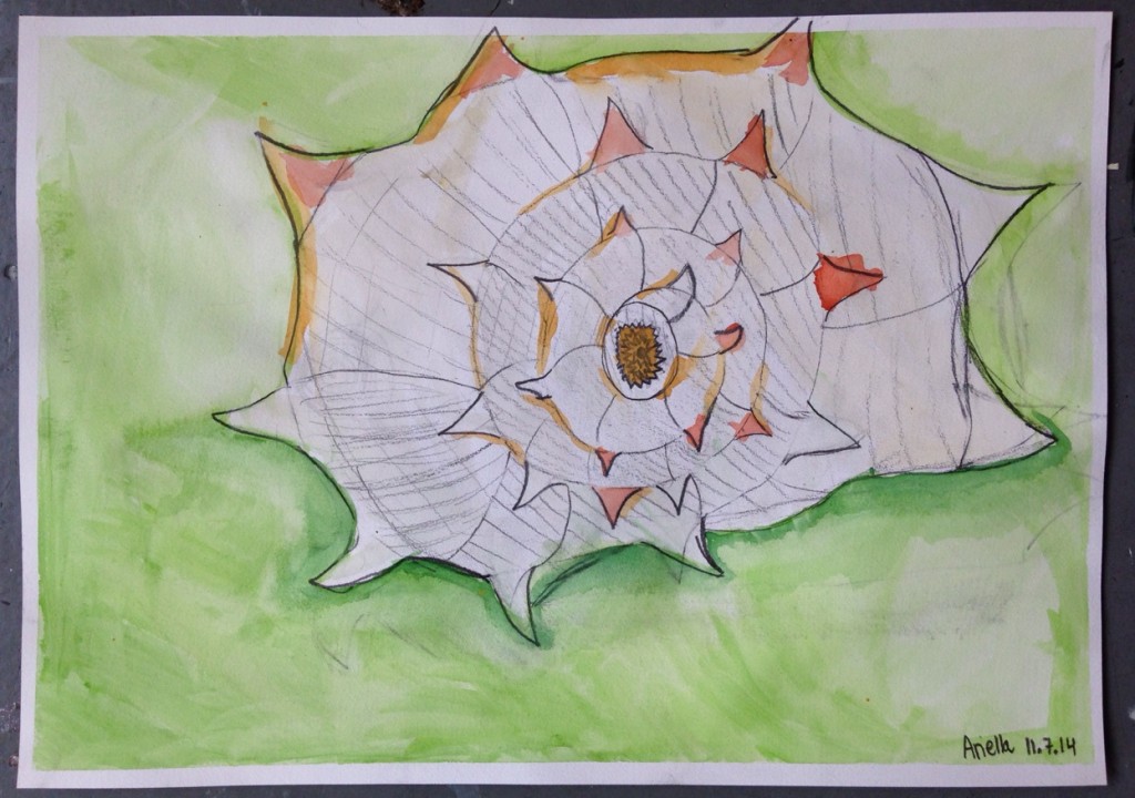 WATERCOLOUR_SHELL_06