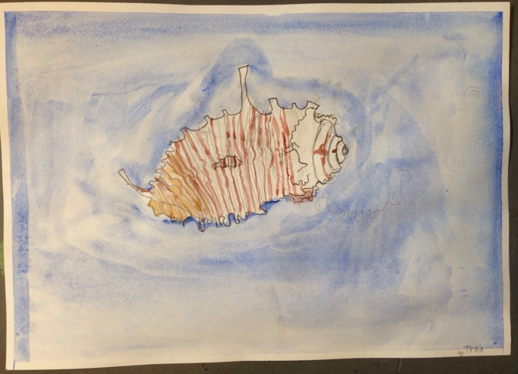 WATERCOLOUR_SHELL_08