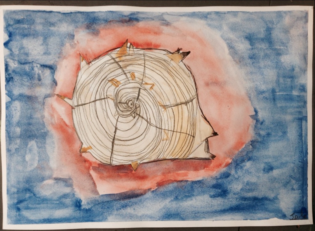 WATERCOLOUR_SHELL_10