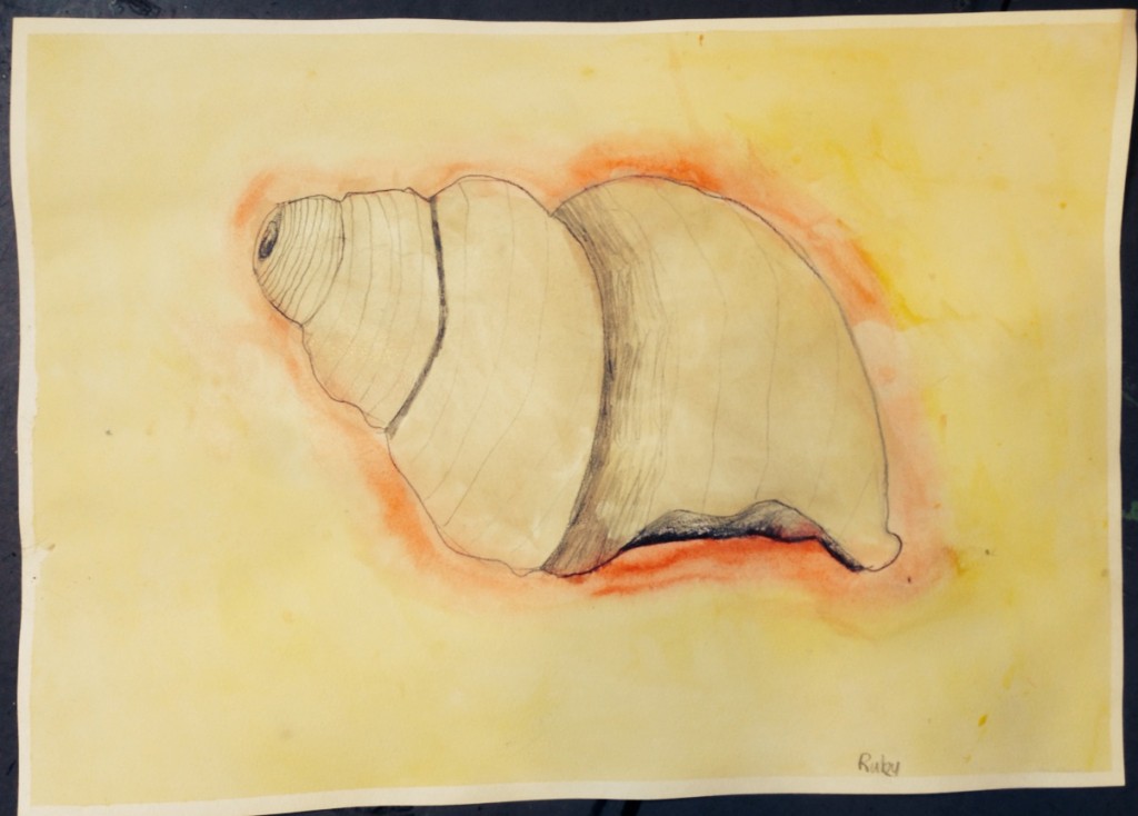 WATERCOLOUR_SHELL_11