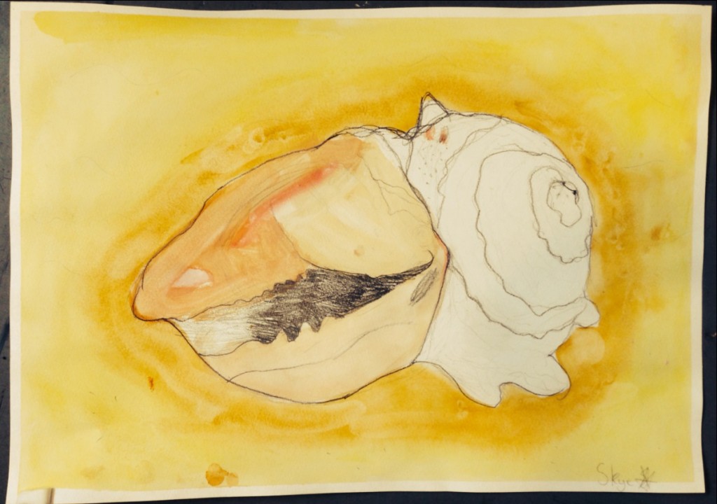 WATERCOLOUR_SHELL_12