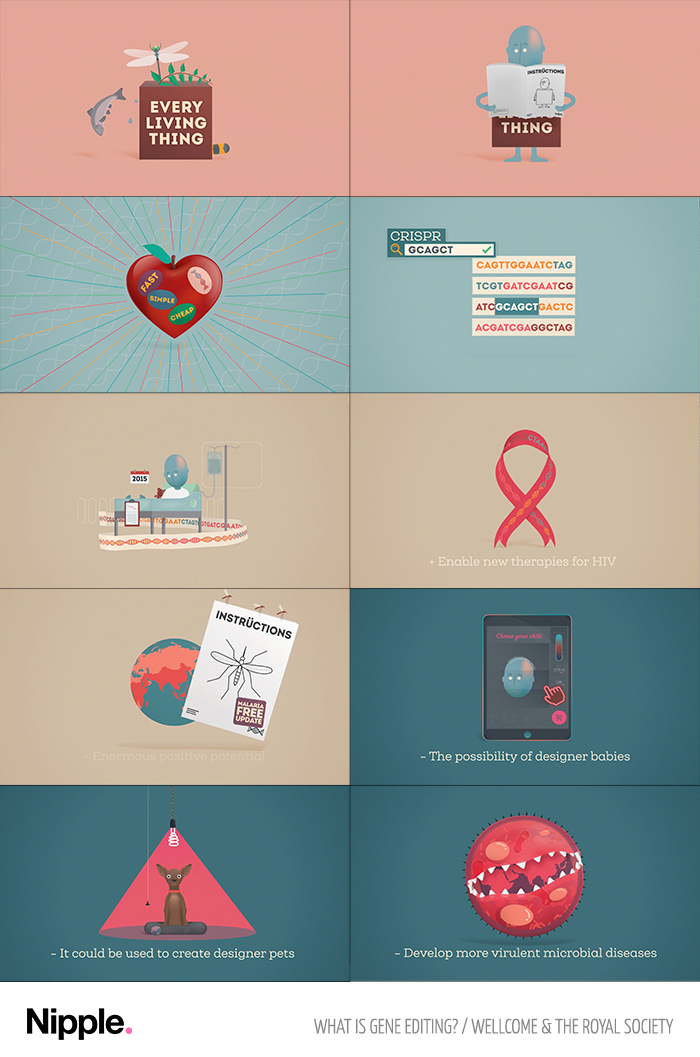 'Whats is Gene Editing?' animation for Wellcome & The Royal Society.